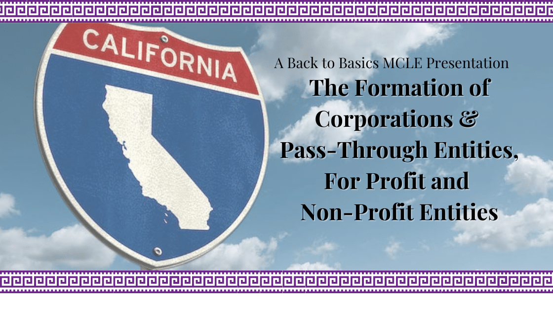 The Formation of Corporations and Pass-Through Entities, For Profit and Non-Profit Entities